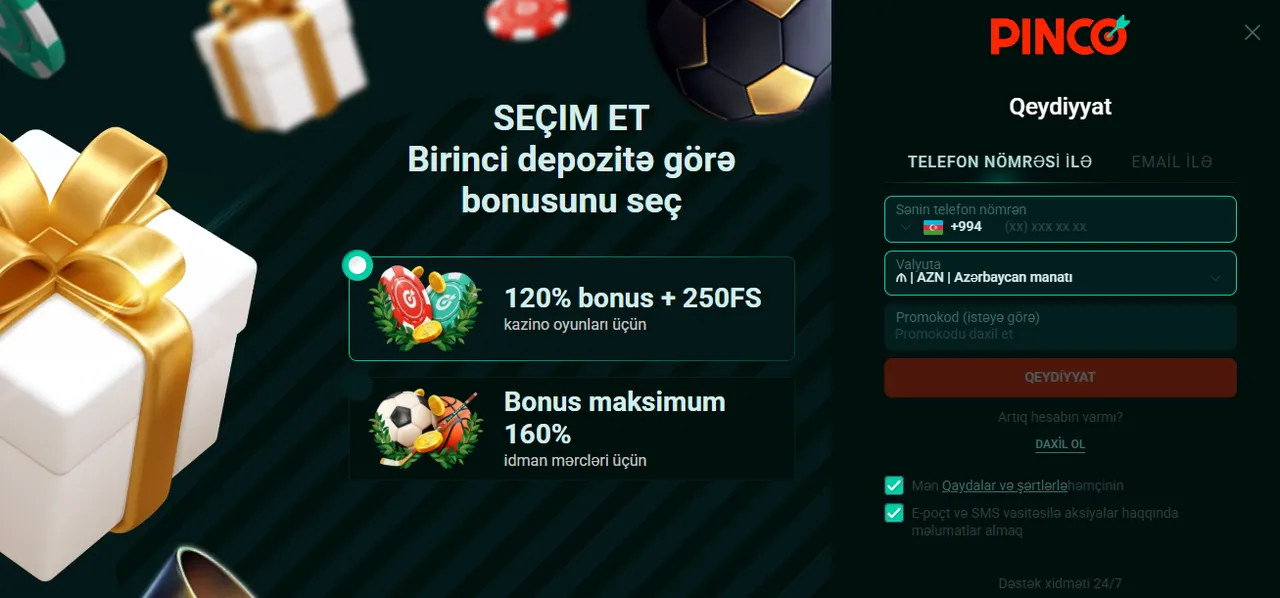 Pinco giriş funksiyaları və əsas xüsusiyyətləri